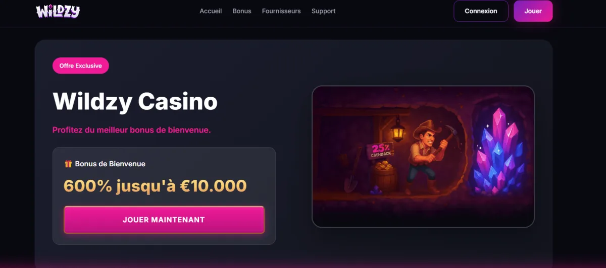 Wildzy homepage casino acceptant visa